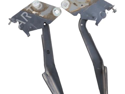 Hinge/Door check strap RENAULT MEGANE III Coupe (DZ0/1_) 2.0 R.S. | BP28457124C146 