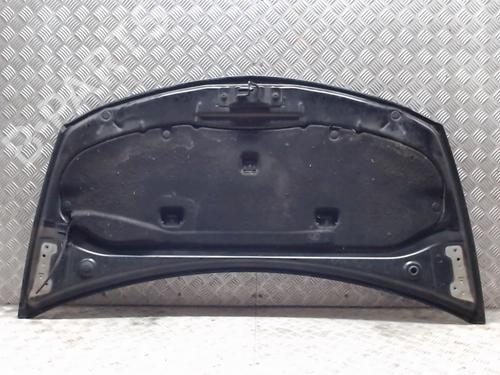 Hood RENAULT CLIO III (BR0/1, CR0/1) 1.5 dCi (C/BR0G, C/BR1G) | BP23059164C1 