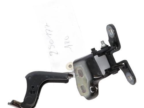 Hinge/Door check strap RENAULT SCENIC E-TECH PHASE I EV87 804009126R