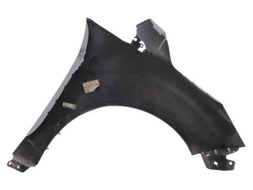 Left front fenders FORD C-MAX II (DXA/CB7, DXA/CEU) 1.6 TDCi | BP29239502C41