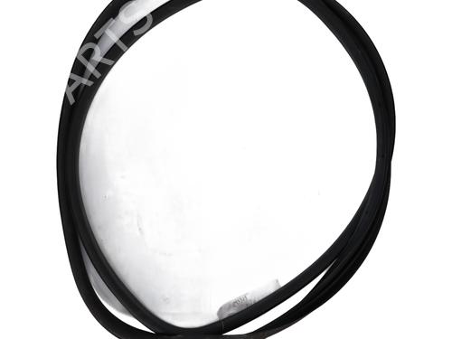 Used Rubber door seal Rubber door seal RENAULT MEGANE III Coupe (DZ0/1_) 1.2 TCe (DZ16, DZ28) (132 hp) 31215915 31215915