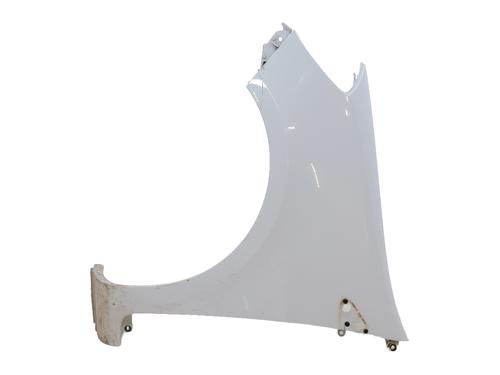 Używane Błotnik przedni lewy RENAULT CLIO III (BR0/1, CR0/1) 1.5 dCi (C/BR0G, C/BR1G) (68 hp) 29837088