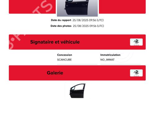 Left front door PEUGEOT 2008 I (CU_) 1.2 THP 110 / PureTech 110 | BP25464206C2 