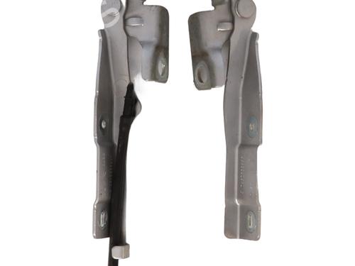 hingedoor-check-strap-citroen-c3-ii-sc_-2009-34041817 main image