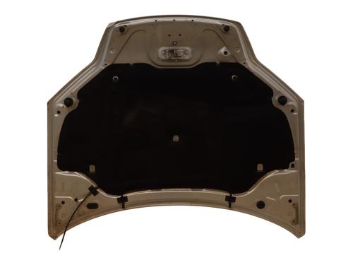 Capot Capot RENAULT LAGUNA III (BT0/1) 2.0 dCi (BT07, BT0J, BT14, BT1A, BT1S) (131 hp) 29007257 29007257