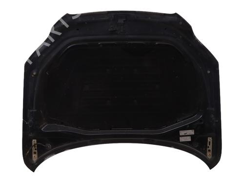 Hood AUDI Q7 (4LB) 4.2 TDI quattro | BP25282409C1