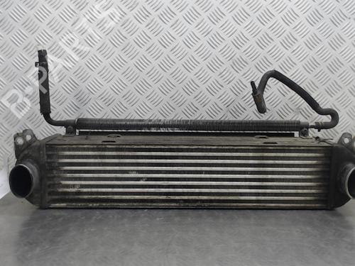Used Intercooler LAND ROVER RANGE ROVER SPORT I (L320) 2.7 D 4x4 (190 hp) 23059684