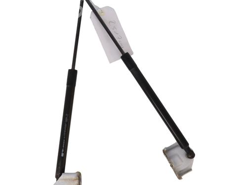 Tailgate lift support RENAULT CLIO IV (BH_) 1.5 dCi 90 | BP29895562C138