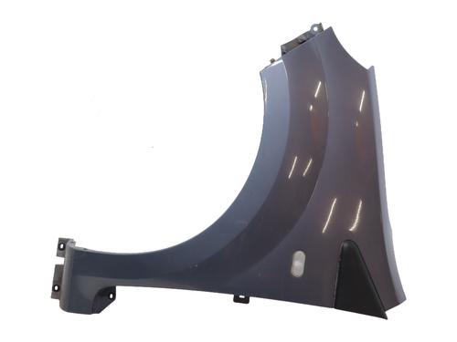 Kotflügel links vorne für RENAULT TWINGO II (CN0_) 1.2 16V (CN04, CN0B) (75 hp) 30863001