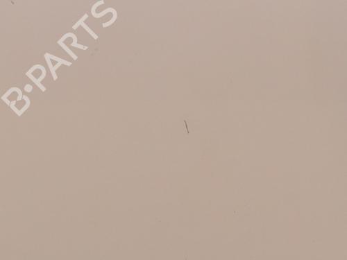 Right front door NISSAN QASHQAI I (J10, NJ10) 1.6 dCi | BP23835679C3