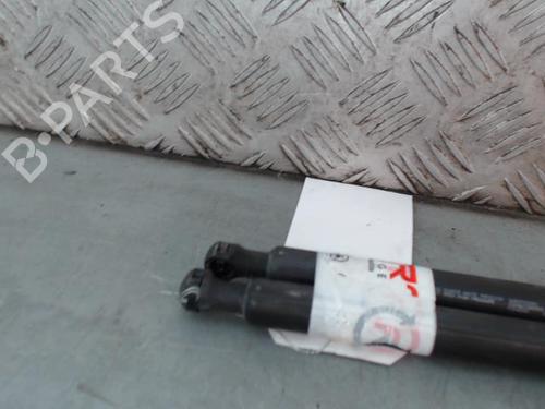 tailgate-lift-support-citroen-c3-ii-sc_-2009-29253633 main image