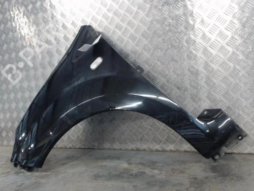 Left front fenders RENAULT TWINGO II (CN0_) 1.2 (CN0D) | BP29477082C41 