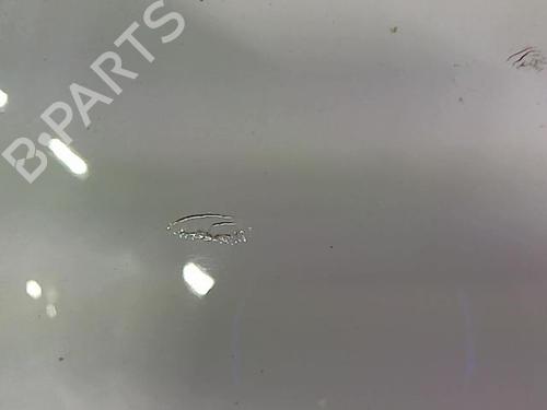 Left front fenders RENAULT CLIO III (BR0/1, CR0/1) 1.5 dCi | BP23052167C41 