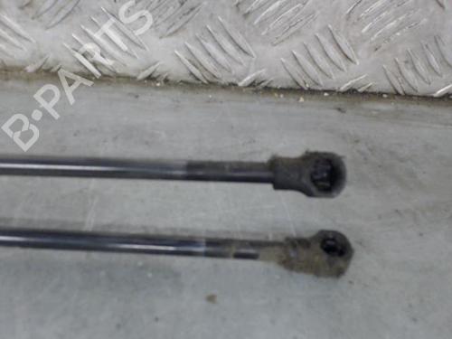Tailgate lift support CITROËN C3 II (SC_) 1.4 HDi 70 (SC8HZC, SC8HR0, SC8HP4) | BP29895453C138 