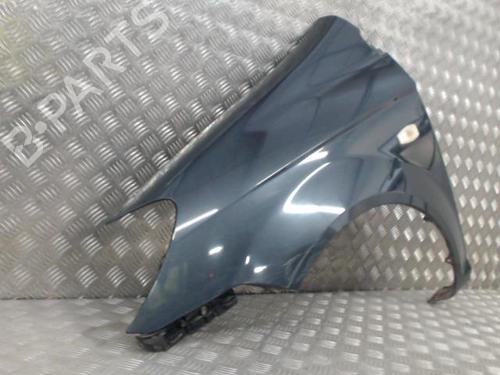 Left front fenders HYUNDAI GETZ (TB) 1.5 CRDi | BP23050991C41 