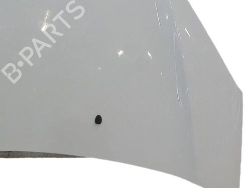 hood-citroen-c3-ii-sc_-2009-36647782 main image