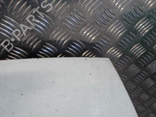 Hood FORD TRANSIT Van (FA_ _) 2.0 DI (FAE_, FAF_, FAG_) | BP23051136C1 