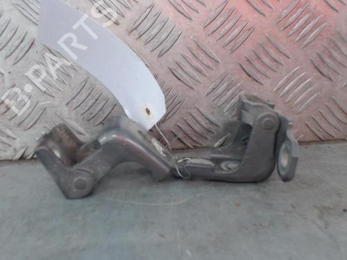 Hinge/Door check strap RENAULT CLIO IV (BH_) 1.5 dCi 90 | BP25769021C146 
