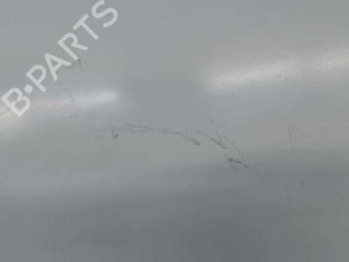 Left front fenders MERCEDES-BENZ SPRINTER 3,5-t Van (B906) 316 CDI (906.631, 906.633, 906.635, 906.637) | BP30123938C41