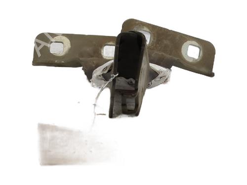 Hinge/Door check strap RENAULT MEGANE II (BM0/1_, CM0/1_) 1.9 dCi | BP28451561C146 