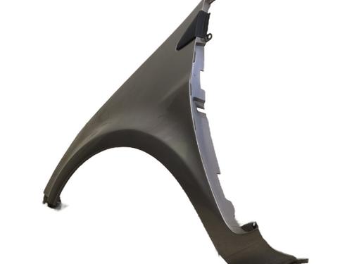 Left front fenders RENAULT CLIO III (BR0/1, CR0/1) 1.5 dCi (BR17, CR17) | BP26653454C41 