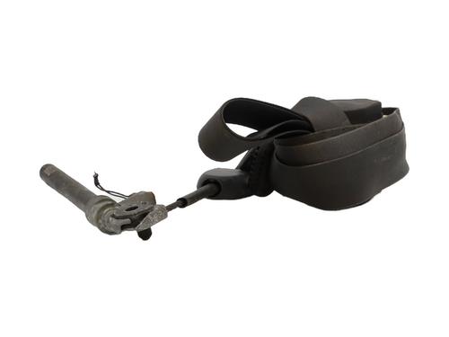 Front left belt tensioner RENAULT SCÉNIC II (JM0/1_) 1.9 dCi (JM0G, JM12, JM1G, JM2C) | BP29480704C87 