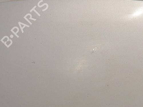 Used Hood Hood VW POLO IV (9N_, 9A_) 1.4 TDI (70 hp) 33707528 33707528
