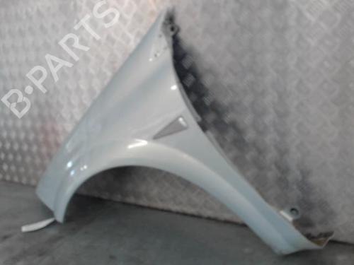 Left front fenders RENAULT MEGANE II Estate (KM0/1_) 1.5 dCi (KM02, KM13) | BP30046042C41 