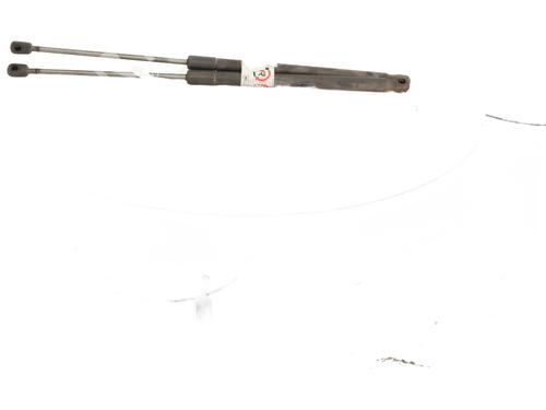 tailgate-lift-support-ford-fiesta-vi-cb1-ccn-2008-23839389 main image