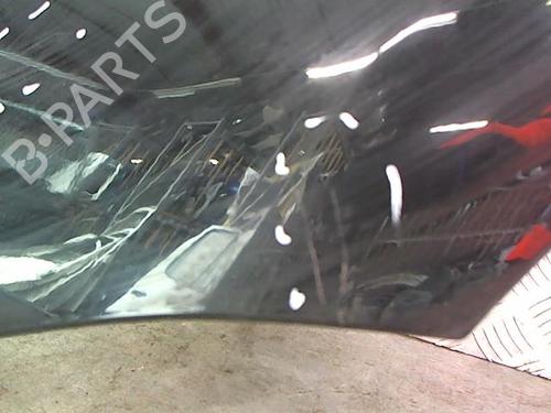 Left front fenders CITROËN C4 Picasso I MPV (UD_) 1.6 HDi | BP24112517C41 