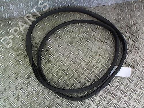 rubber-door-seal-renault-rafale-coupe-dgm_-2023-28330007 main image