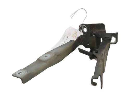 Hinge/Door check strap CITROËN C3 II (SC_) 1.6 BlueHDi 100 | BP30176095C146 