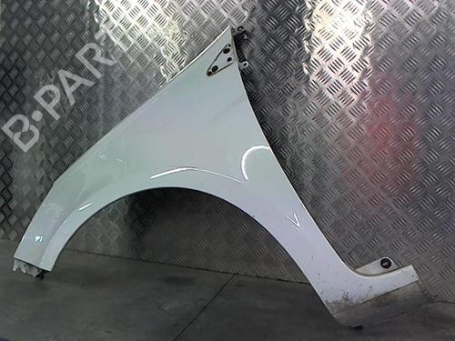 Left front fenders RENAULT CLIO III (BR0/1, CR0/1) 1.5 dCi | BP23052167C41 