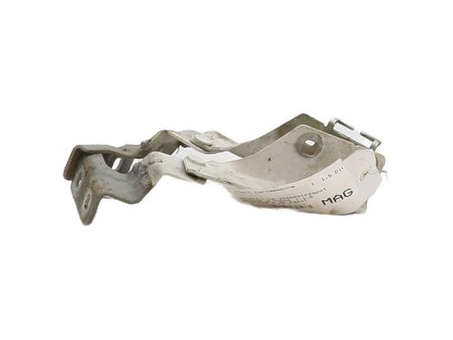 Used Hinge/Door check strap Hinge/Door check strap 29253655 29253655