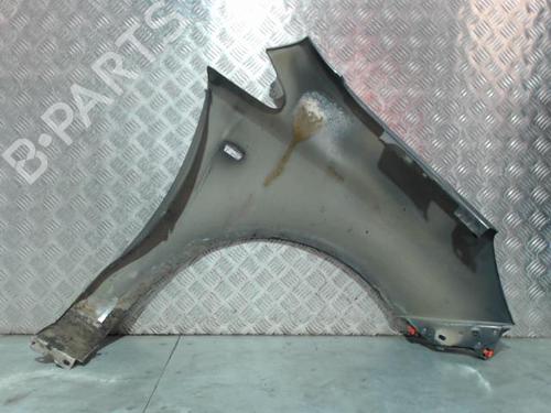 Left front fenders OPEL CORSA D (S07) 1.3 CDTI (L08, L68) | BP30592145C41 