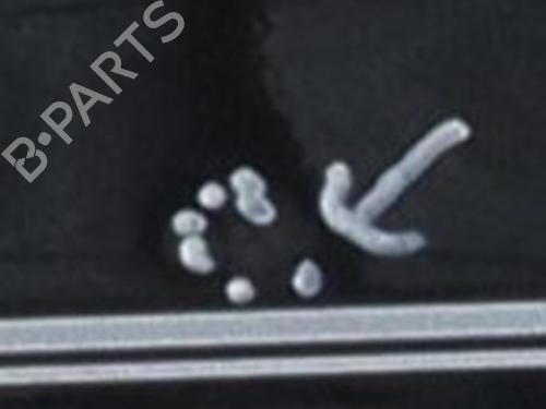 left-rear-door-renault-twingo-iii-bcm_-bca_-2014-33417275 main image