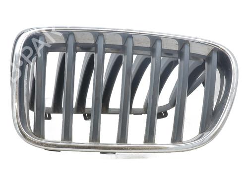 Used Grille Grille BMW X3 (F25) xDrive 20 d (184 hp) 33707583 33707583