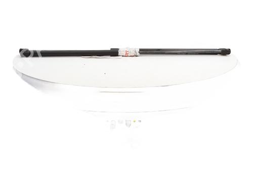 Ammortizzatore portellone posteriore CITROËN C4 Picasso I MPV (UD_) 1.6 HDi | BP30750361C138 