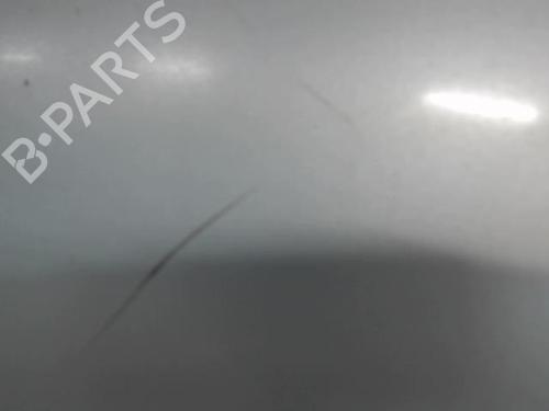 Left front fenders RENAULT SCÉNIC III (JZ0/1_) 1.5 dCi | BP23051925C41 