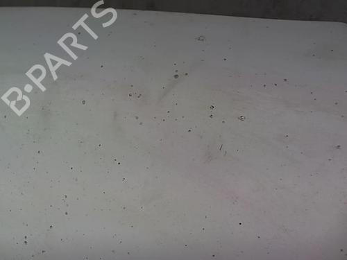 Left front fenders NISSAN INTERSTAR Van (X70) dCi 120 | BP23210515C41 