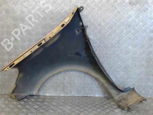 Right front fenders RENAULT CLIO III (BR0/1, CR0/1) 1.5 dCi (BR17, CR17) | BP27219939C42 