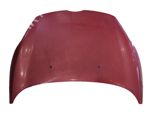 Panser Panser FORD FIESTA VI (CB1, CCN) [2008-2026] 36221895 36221895