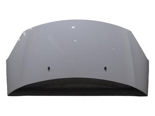 hood-citroen-ds3-sa_-2009-2010-2011-2012-2013-2014-2015-2016-40058809 main image