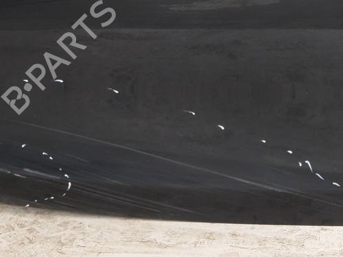 Left front door BMW 1 (E81) 123 d | BP24371540C2 
