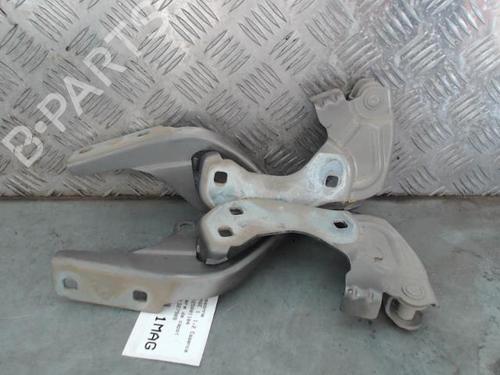 Hinge/Door check strap FIAT 500 (312_) 1.2 (312AXA1A) | BP29414163C146 