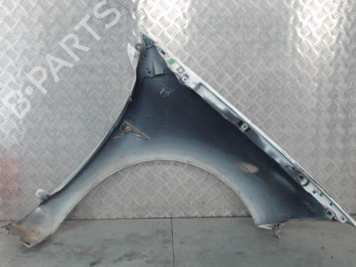 Aleta delantera izquierda RENAULT MEGANE II (BM0/1_, CM0/1_) 1.5 dCi (BM02, BM13, BM2A, CM02, CM13) | BP29253652C41 