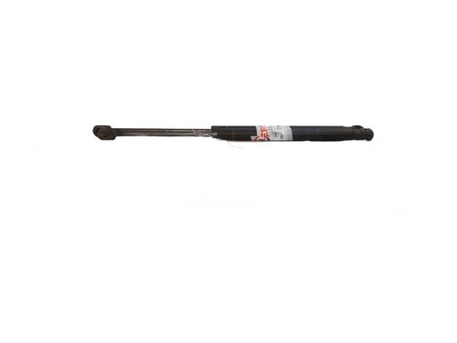 Used Tailgate lift support RENAULT MEGANE II (BM0/1_, CM0/1_) 1.9 dCi (131 hp) 29007095