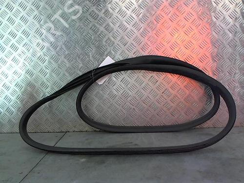 rubber-door-seal-renault-rafale-coupe-dgm_-2023-28330035 main image