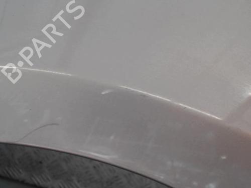 Left front fenders RENAULT CLIO III (BR0/1, CR0/1) 1.2 16V Hi-Flex (BR1U, CR1U) | BP29340005C41 