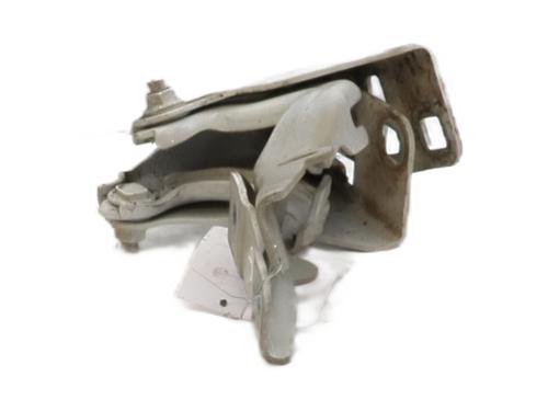 Hinge/Door check strap FIAT PANDA (312_, 319_) 1.2 (312PXA1A) | BP31252507C146